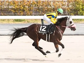 ☆★☆ また左回り1400ですか ★☆★…