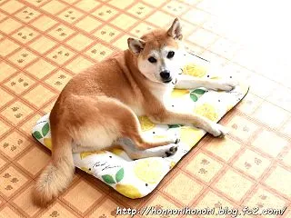 洗濯日和♪