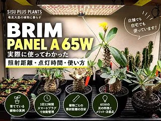 植物育成LEDの選び方｜BRIM PAN…