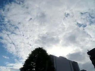 秋晴れ？＆ビールの値下げ！