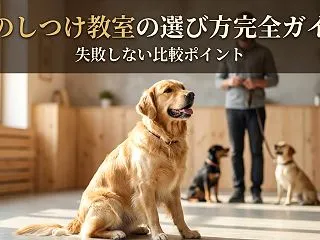 犬のしつけ教室の選び方完全ガイド｜失敗し…