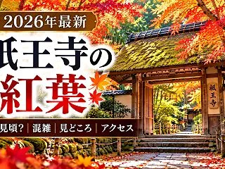 【2026年最新】祇王寺の紅葉はいつが見…