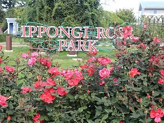 一本木公園 -1-