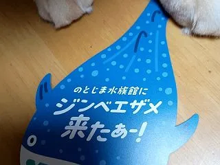 のとじま水族館