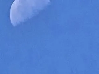 曼珠沙華(彼岸花)と下弦の月