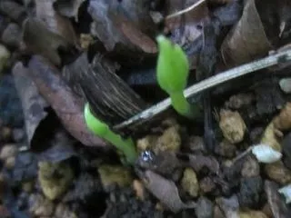 今回はセーフ