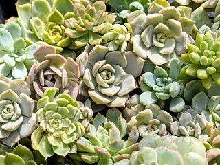 週末はいろいろと準備も進める！と『静岡京…