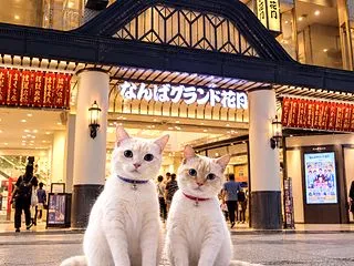 漫才と温泉と