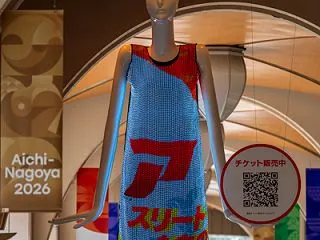 電飾娘