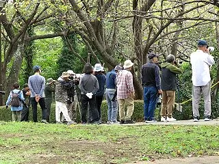 天気晴朗なれど