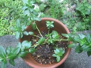元気かな