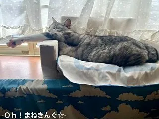 泳げるかも？