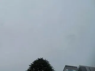 さっそくの雨