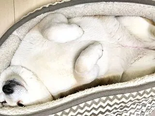 心から安心して