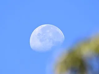 皇鈴山から見る風景