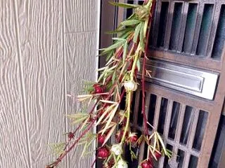 ローゼルの紅色の種袋は可愛いな （・∀・…