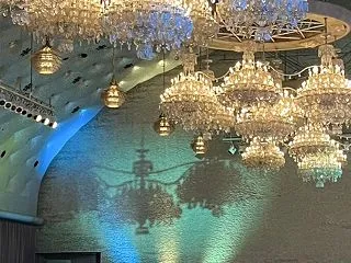 ダンス・相手はプロ