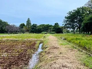 「ニラレバ」好きな「タラレバ」人生