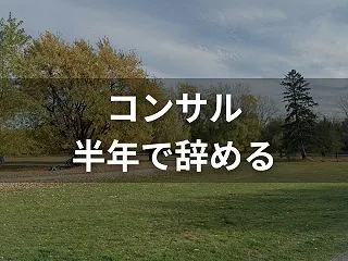 コンサルを半年で辞めるのはあり？転職市場…