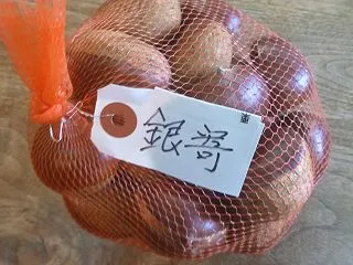 貴重な栗の品種「銀寄」を好きやｄｅ西播磨…