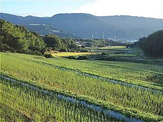 リケノンで足柄の写真 ２０２６．１０．６