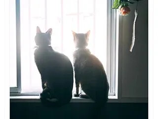 ちょっと寄り道