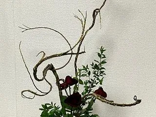 今日のお花
