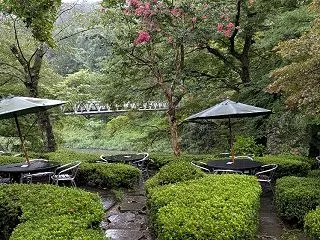 寒露の過ごし方