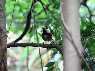2026年9月27日につくば植物園で見た…