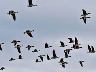 宮島沼へ