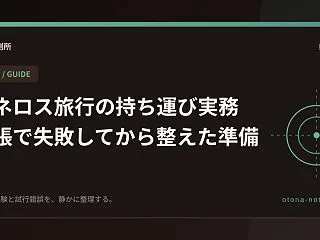アネロス旅行の持ち運び実務｜出張で失敗し…