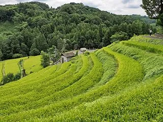 千早赤阪村にて