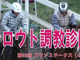 シロウト調教診断（スワンステークス G2…