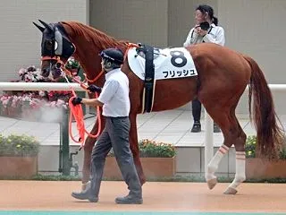 ☆★☆ ずーっとターファイト画像だけで続…