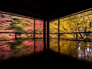 【保存版】京都紅葉案内 ～瑠璃光院「光が…