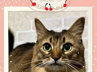☆*:.Happy birthday.:…