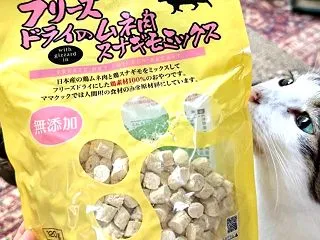 またやってしまいました。犯人はもちろん…
