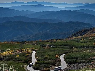 山岳道路を走るバス