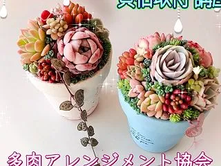 オンライン多肉 講師資格 取得講座ディプ…