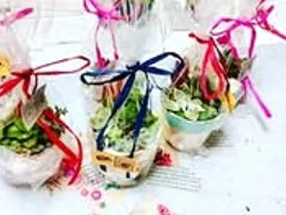 多肉寄せ植え教室 ワークショップ