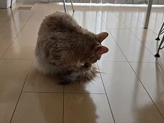 濡れると変わるとは