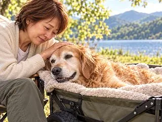 ガンが見つかると、少しうれしい。その理由