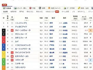 アイルランドT 結果だ！！