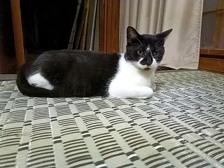 個人情報漏洩が多いよね〜