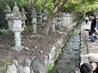 スピルバーグのディスクロージャーデイを観…