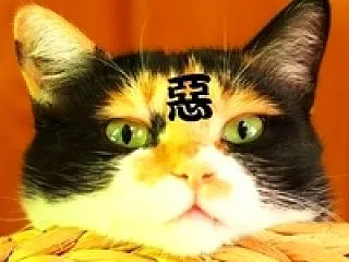 ふたがしら2で手下が捕まっていた