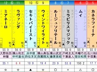 アイルランドT 予想
