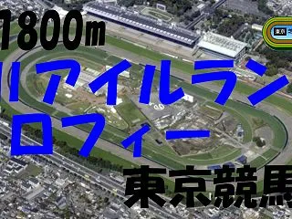 2026年 アイルランドT 府中牝馬S（…