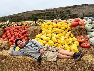 毎年この時期恒例の…