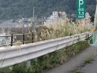 大渋滞